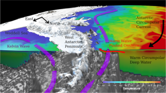 Schematic of the warming response of West Antarctic Peninsula waters to East Antarctic wind perturbation
