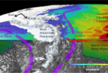 Schematic of the warming response of West Antarctic Peninsula waters to East Antarctic wind perturbation.