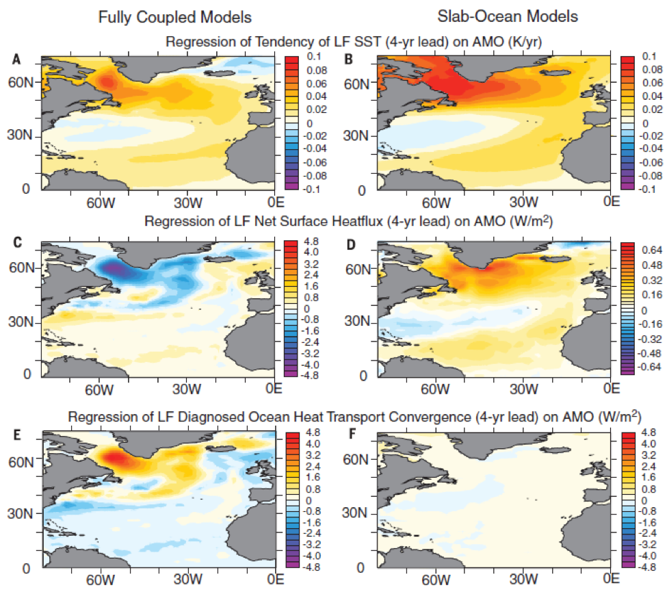 Model simulations of the AMO index