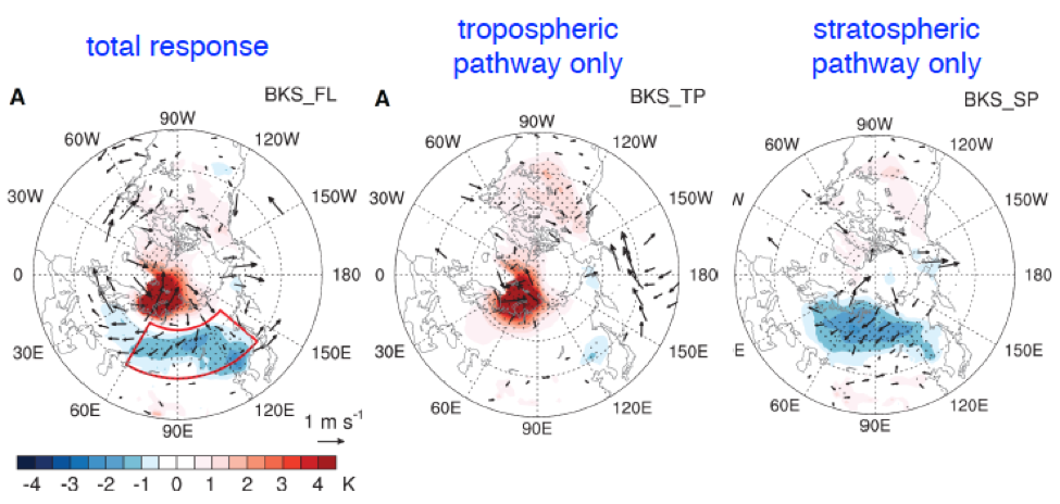 Response in wintertime surface air temperature and surface wind to imposed RCP8.5 sea ice loss over the Barents-Kara Sea