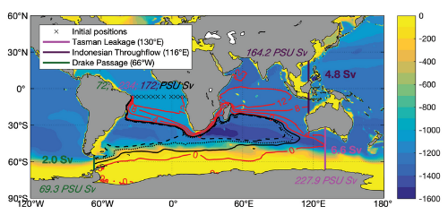 Visualization of the mass transport carried by particle trajectories