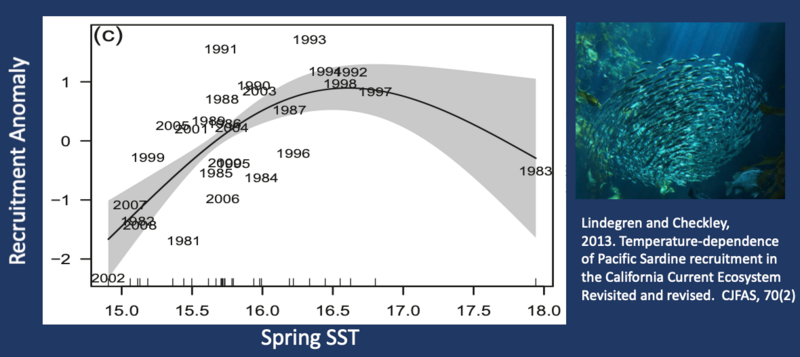 Recruitment Anomaly vs. Spring SST in the CCE