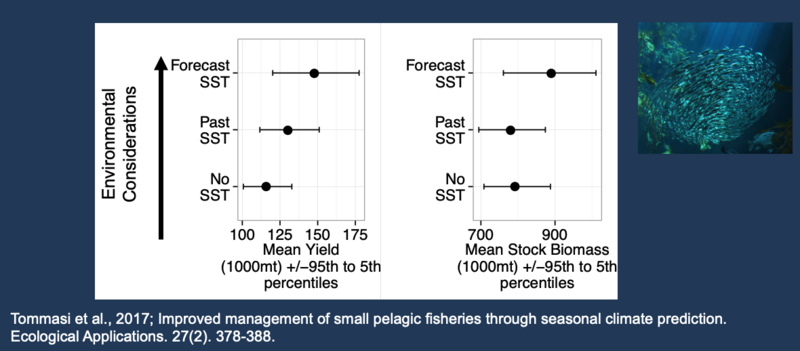 Fisheries and biomass yields when no forecast, hindcast, and forecasts are used.