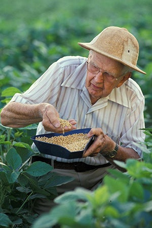 Man looking at soy beans