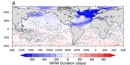 The impact of AMOC slowdown on marine heatwave duration estimated from CCSM4 simulations.