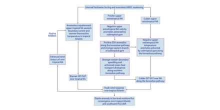 The dynamics of the Atlantic extratropical–tropical teleconnections