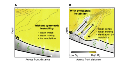 Beyond wind-driven mixing: New insights into vertical exchange at a coastal front