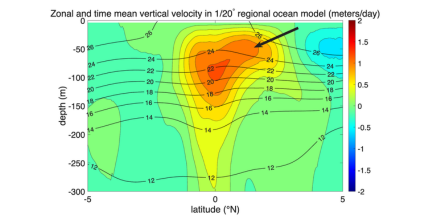 Ocean eddies structure mean equatorial upwelling