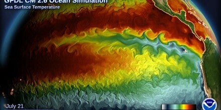 NOAA GFDL sst