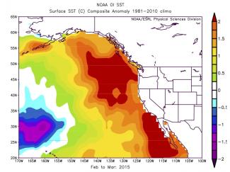 Surface SST anomalies
