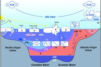 Arctic sea ice schematic