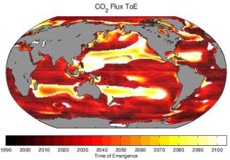 Global ocean carbon sink
