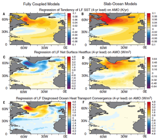 Model simulations of the AMO index