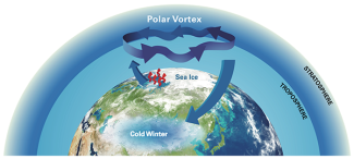 Schematic showing that Barents and Kara sea ice