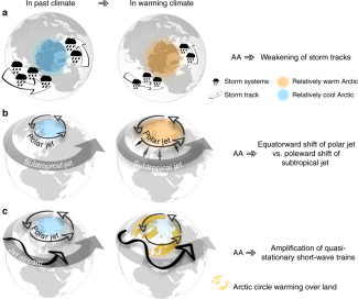 Schematic representation of proposed dynamical mechanisms in summer