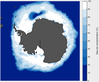 A Southern Ocean polynya