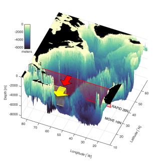 Moored observations at RAPID and MOVE arrays in the Atlantic