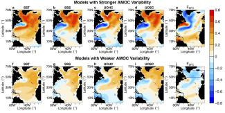 Multiple model mean correlation maps between the 10-year low-pass filtered AMOC index and AMV-related variables