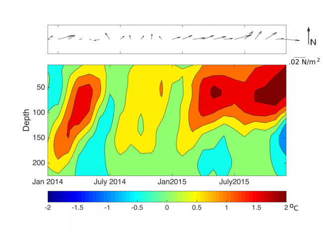 Winds speeds and temperature anomalies