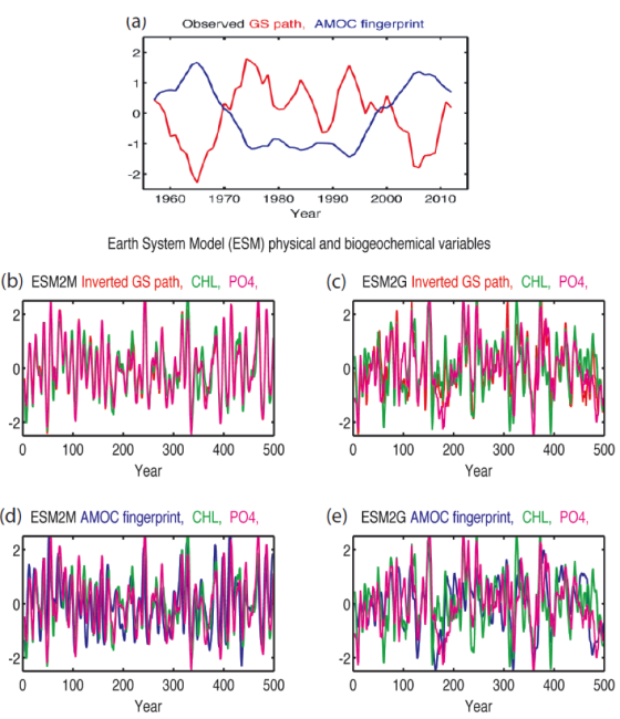 AMOC impacts on biogeochemistry