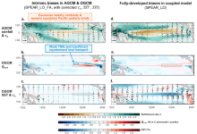 Intrinsic biases in AGCM and OGCM