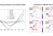 Quantifying the contributions of surface forcing to sea level variability along the US Gulf Coast