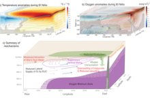 What explains the interannual variability of O2 content and distribution in the tropical Pacific?