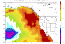 Sea surface temperatures Pacific Ocean 2015