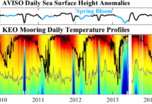 sea surface height anomalies and upper-ocean temperature from the NOAA Kuroshio Extension Observatory 