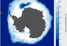 A Southern Ocean polynya