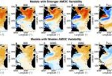 Multiple model mean correlation maps between the 10-year low-pass filtered AMOC index and AMV-related variables
