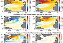 Ocean models for the AMO index