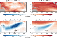 Trend in SST and subsurface temperature for observation and Large Ensemble (LE) simulations