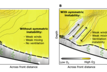 Beyond wind-driven mixing: New insights into vertical exchange at a coastal front