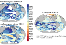 Observed trends in zonal-mean TEMPAC over the period 1980-2022 for three different datasets and ocean basins