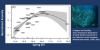 Variability in Pacific Sardine recruitment is related to spring sea surface temperature in the California Current.